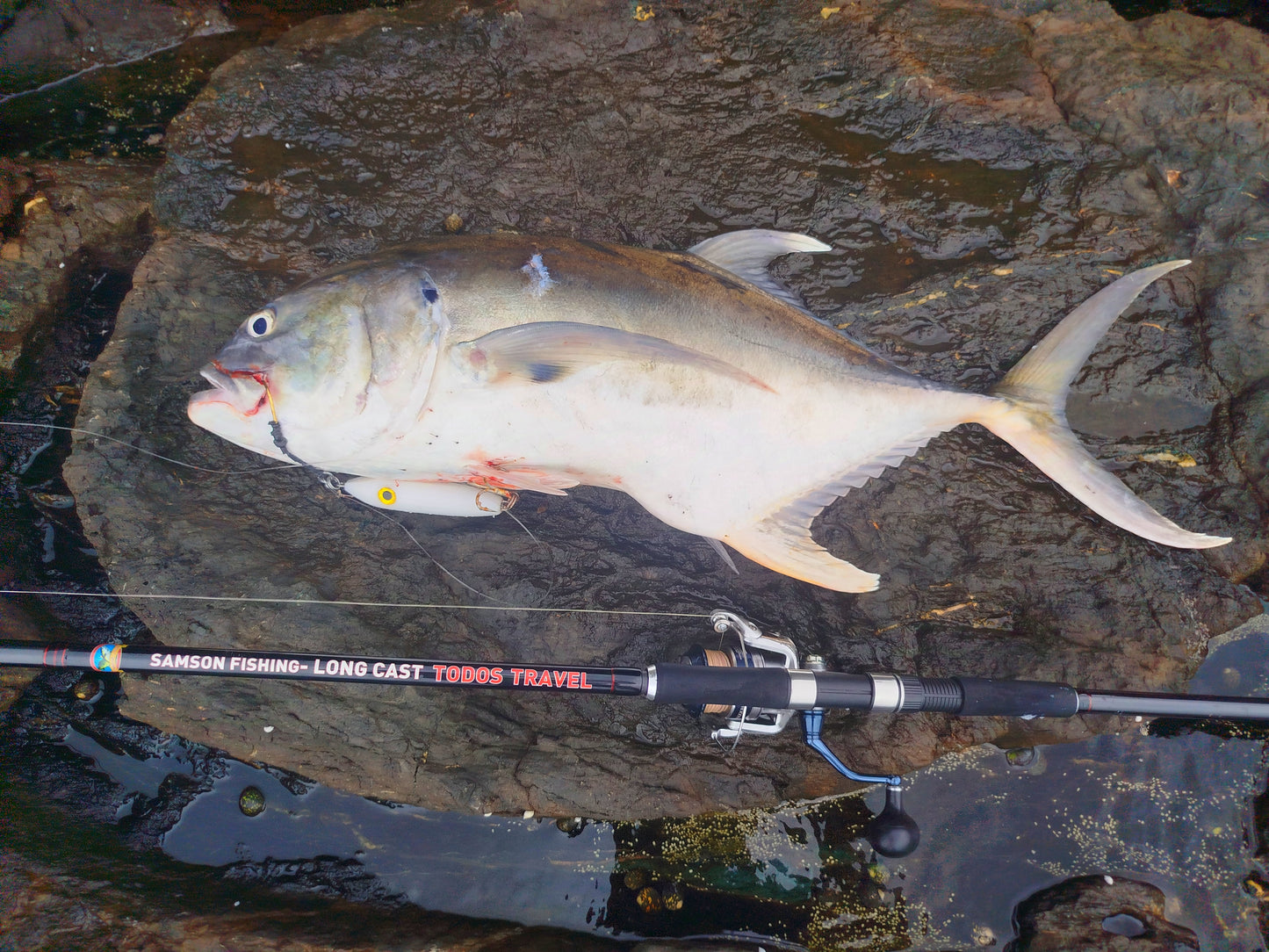 Samson Long Cast Spinning Rod - TODOS TRAVEL 12ft Spinning Rod (30-100g)