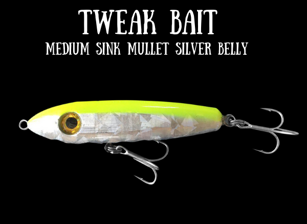 Tweak Bait - Medium Sink (Sub Surface)