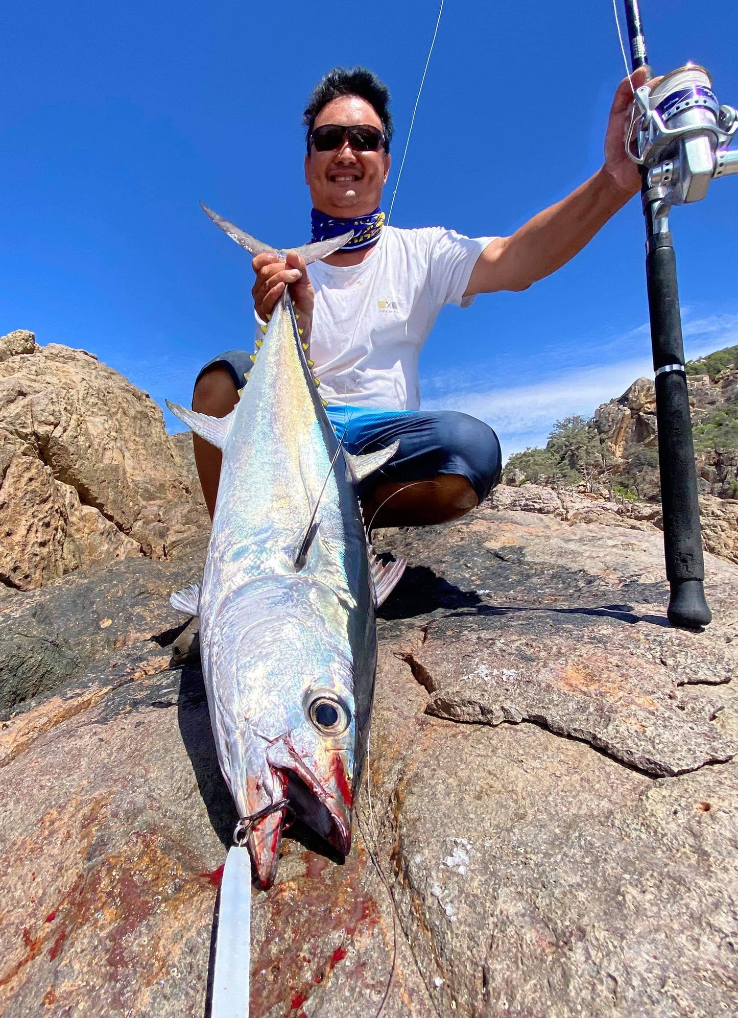 Slim Minnow