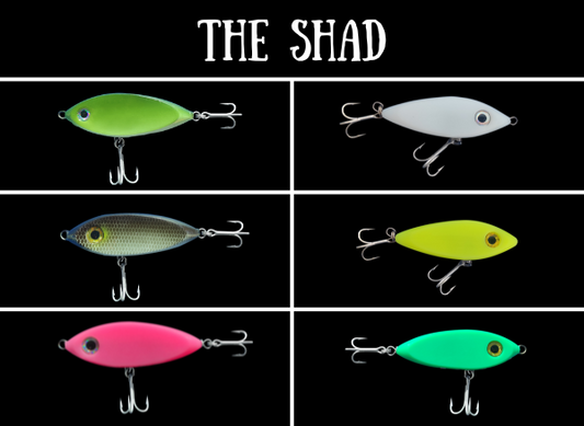 Shad