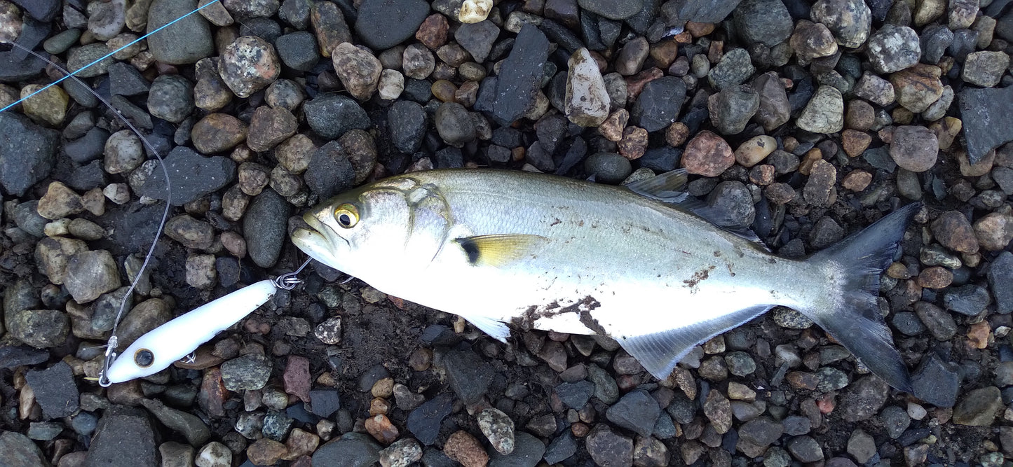 Tweak Bait - Fast Sink (Sub Surface)