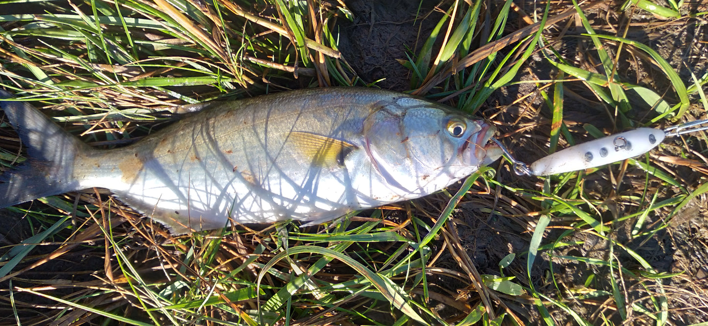 Tweak Bait - Fast Sink (Sub Surface)