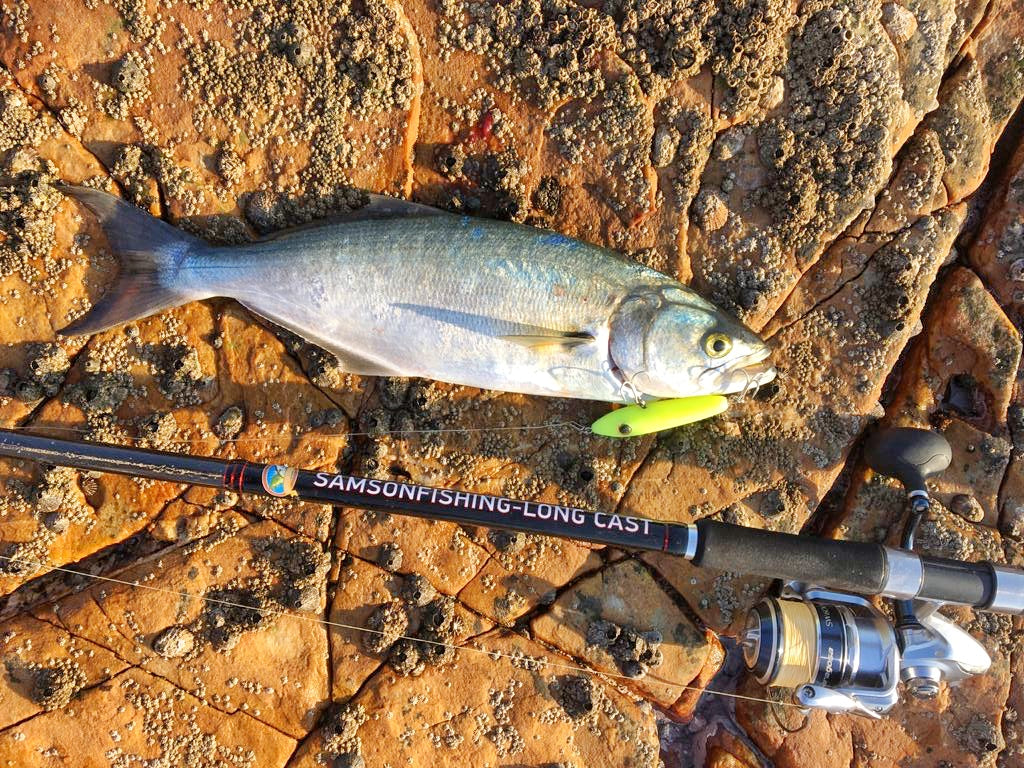 Tweak Bait - Fast Sink (Sub Surface)